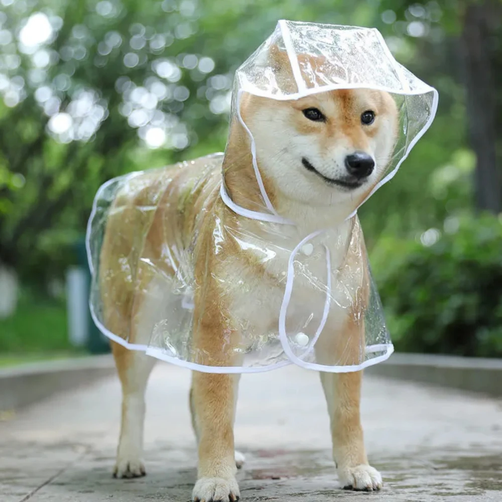 Dog Raincoat - Płaszcz przeciwdeszczowy dla psa Puppy Przezroczysta