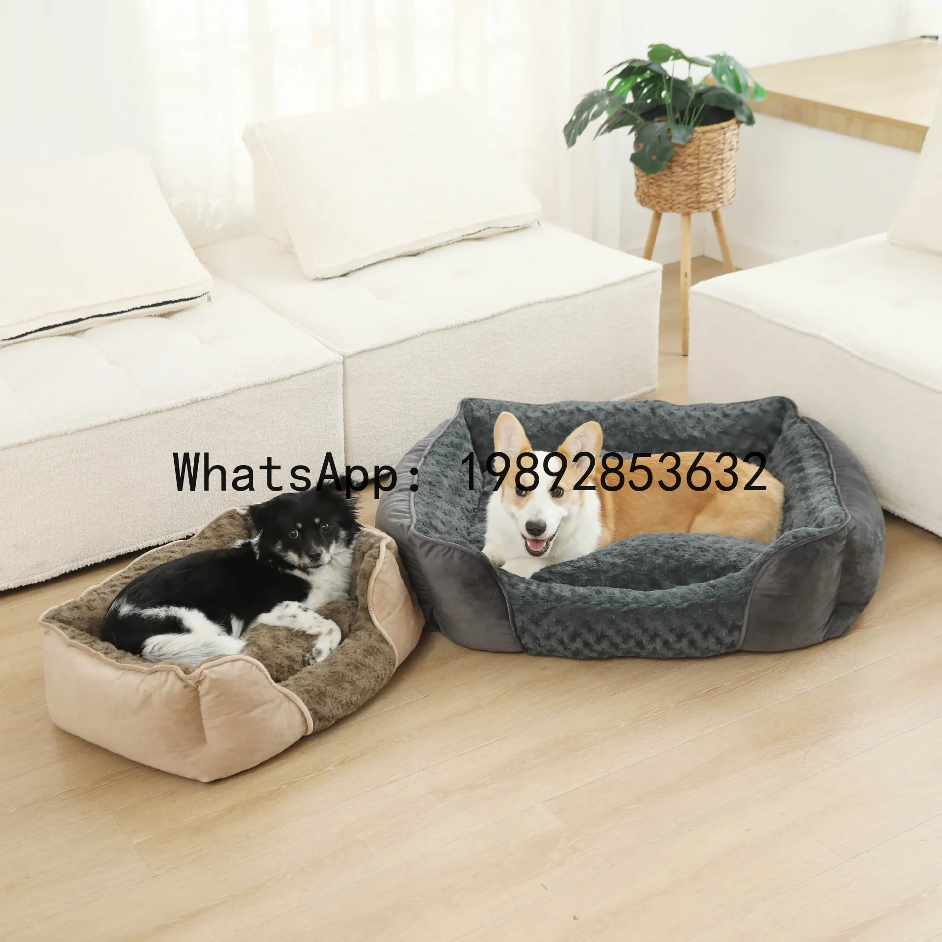 Pet X Supplies & Tack Reviews - X domek dla kota, półzamknięta buda