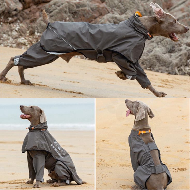 Dog Raincoat - Wodoodporny kombinezon przeciwdeszczowy dla średnich i