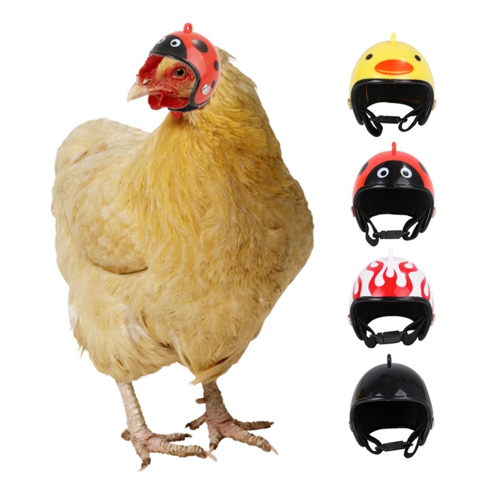 Pet X Supplies & Tack Reviews - ABS Pet Supplies Zabawne Ochraniacze na