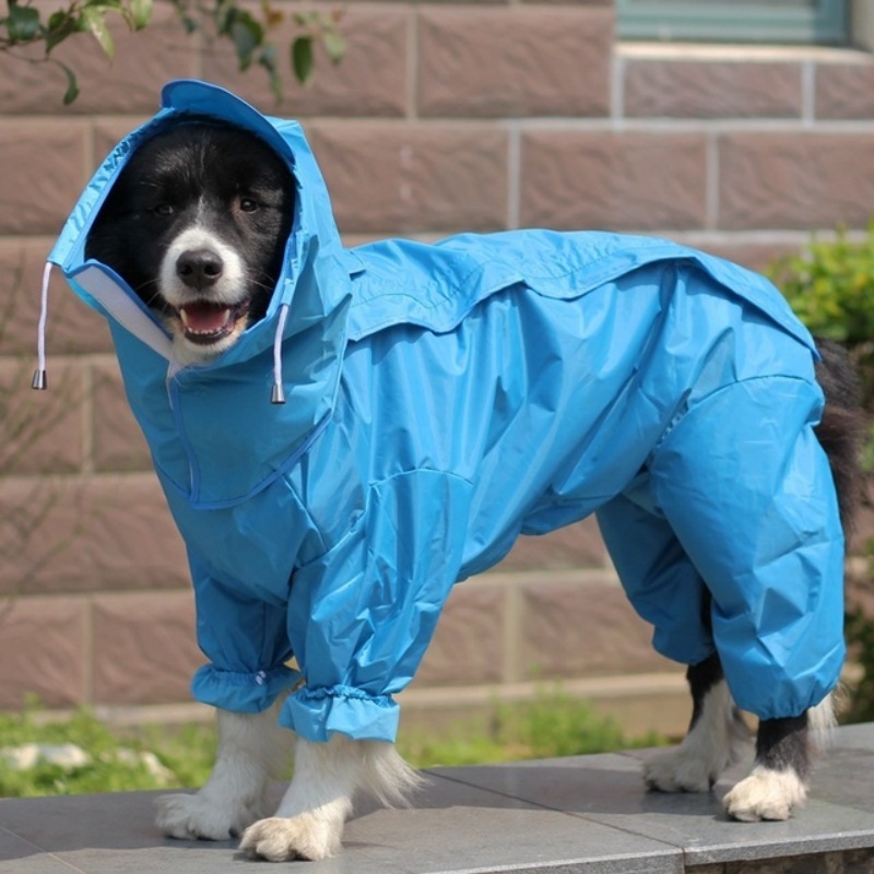 Outdoor Dog Raincoat Jumpsuit  – Dog Raincoat recenzja i cena