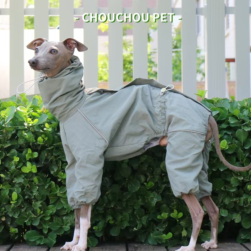 Płaszcz przeciwdeszczowy dla c – Dog Raincoat recenzja i cena