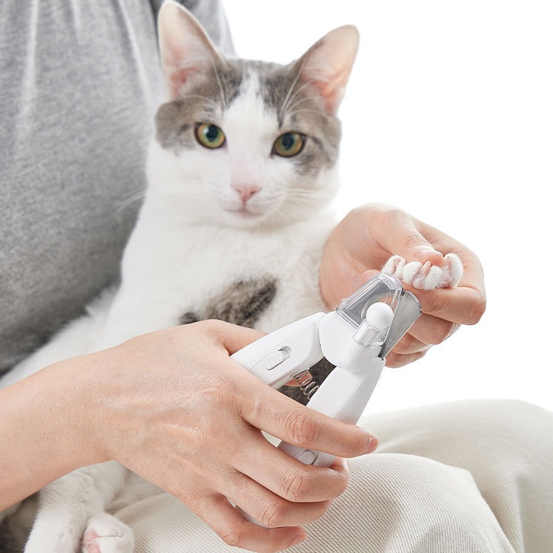 Maszynka do strzyżenia sierści – Pet Supplies Grooming Hours recenzja i cena