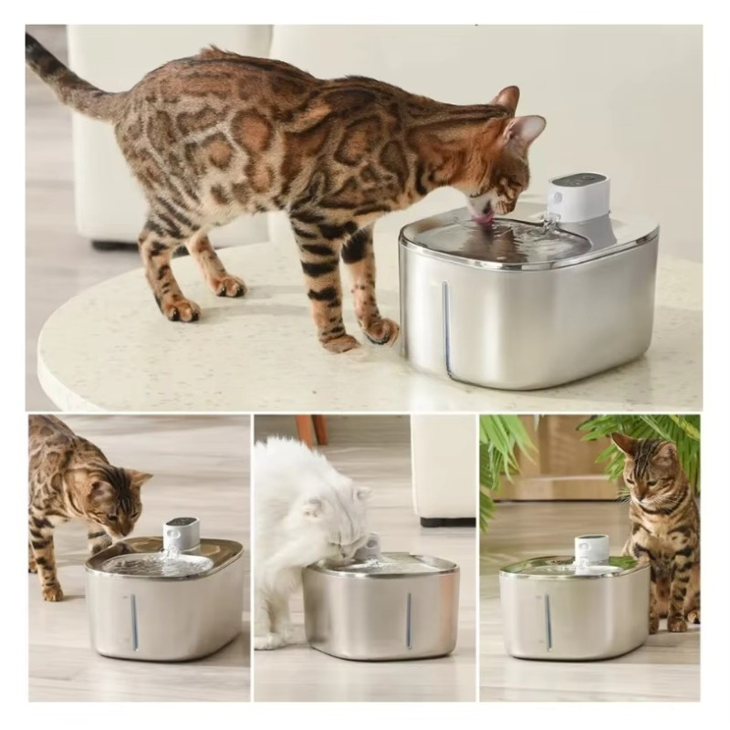 Elektryczna, automatyczna misk – Pet Water Fountain recenzja i cena