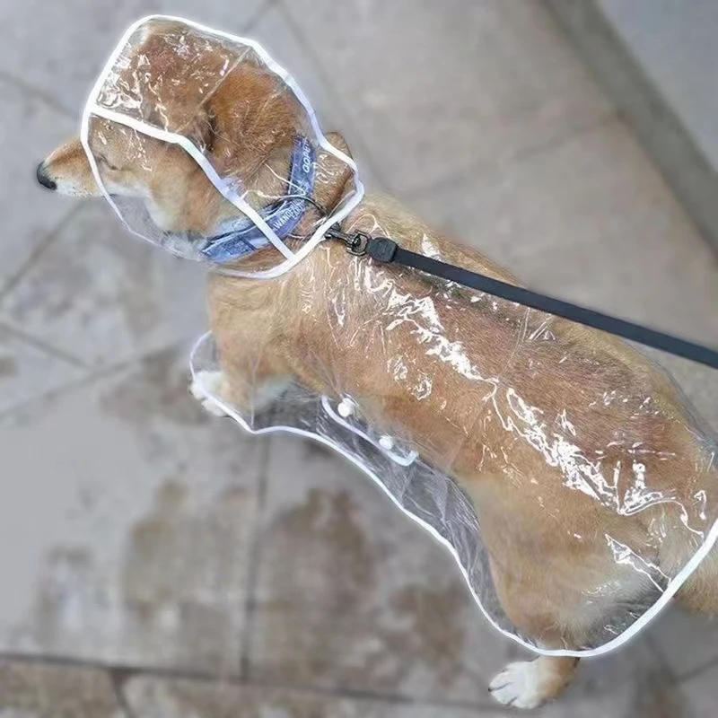Płaszcz przeciwdeszczowy dla p – Dog Raincoat recenzja i cena