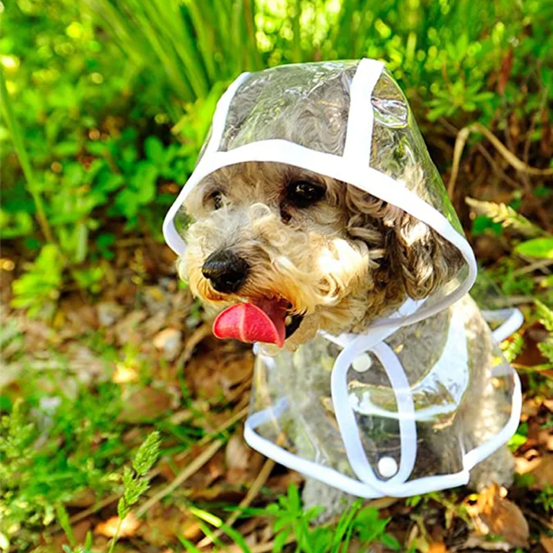 Płaszcz przeciwdeszczowy dla p – Dog Raincoat recenzja i cena