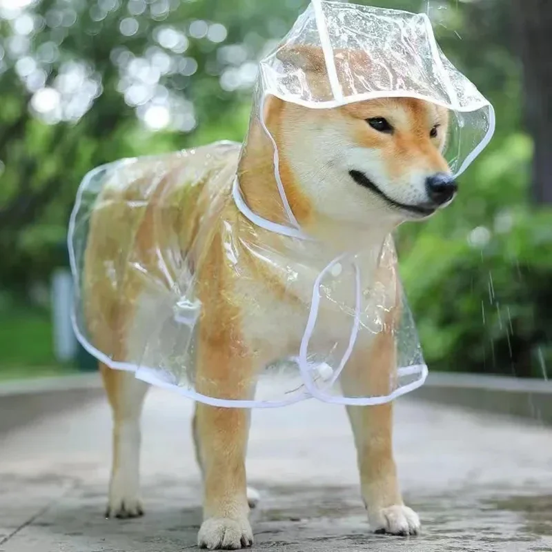 Płaszcz przeciwdeszczowy dla p – Dog Raincoat recenzja i cena