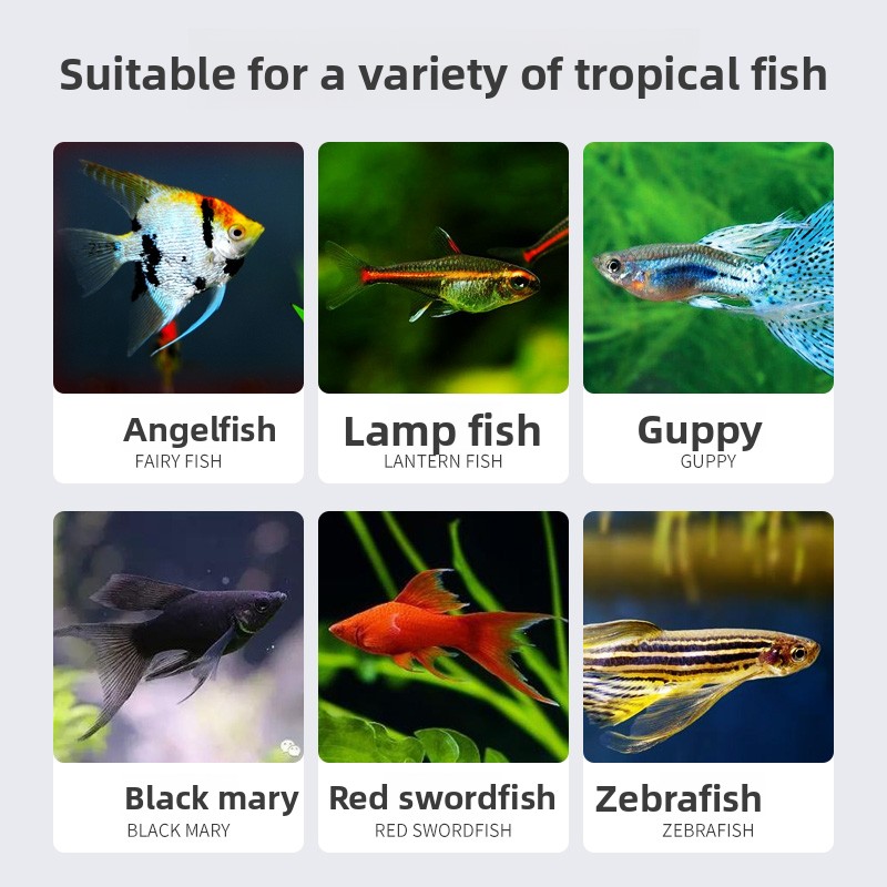 SUNSUN Premium Tropical Fish F – Tetra Food Tropical Flakes recenzja i cena