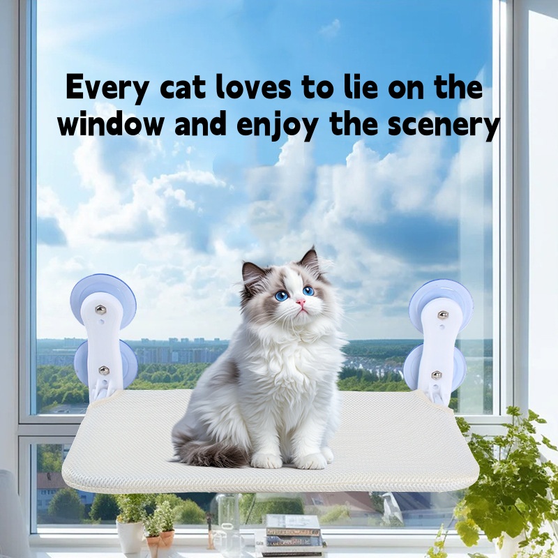 Podwójna przyssawka do okna dl – Cat Window Perch recenzja i cena