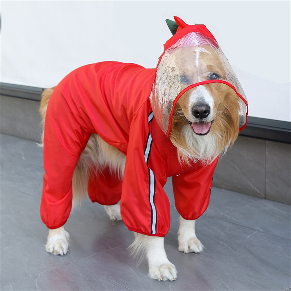Płaszcz przeciwdeszczowy dla p – Dog Raincoat recenzja i cena