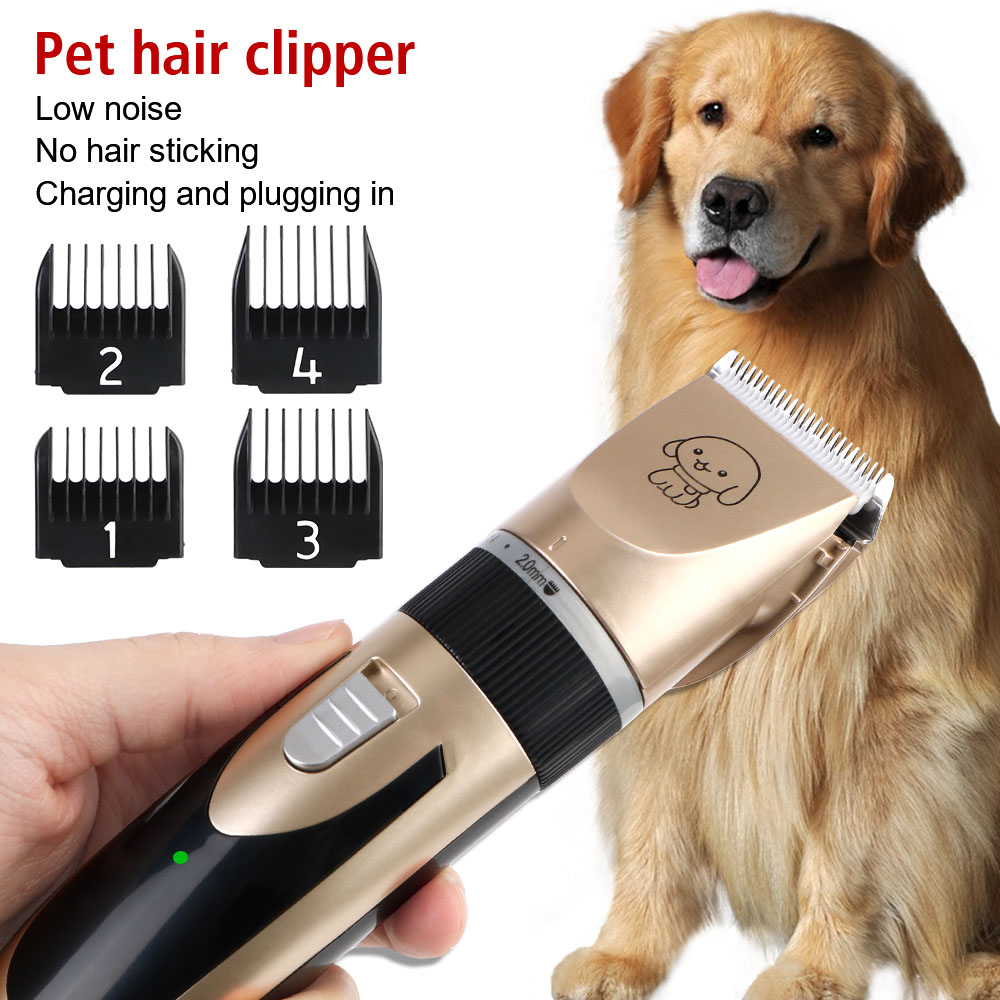 Elektryczne nożyczki do sierśc – Pet Supplies Grooming Hours recenzja i cena