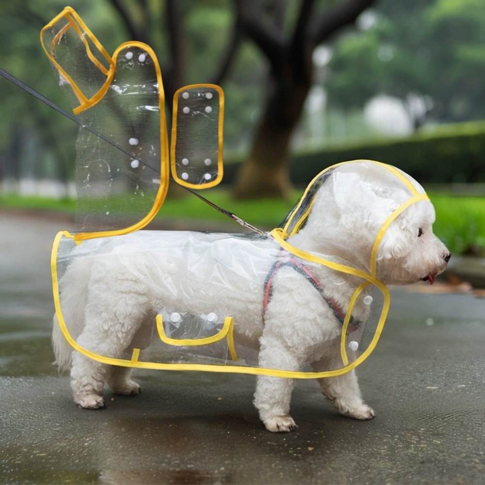 Przezroczysty płaszcz przeciwd – Dog Raincoat recenzja i cena