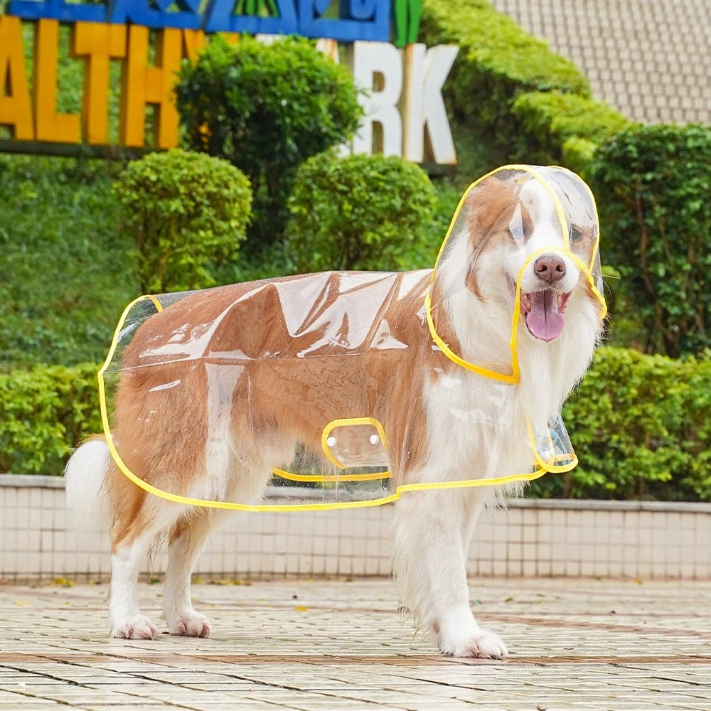 Przezroczysty płaszcz przeciwd – Dog Raincoat recenzja i cena