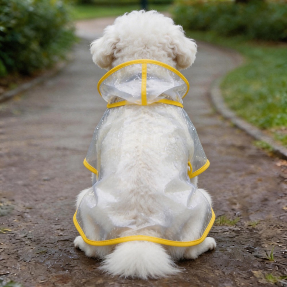 Przezroczysty płaszcz przeciwd – Dog Raincoat recenzja i cena