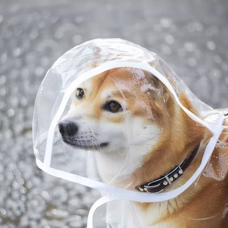 Płaszcz przeciwdeszczowy dla p – Dog Raincoat recenzja i cena